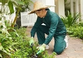 looking-for-gardening-services-big-1