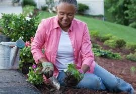 looking-for-gardening-services-big-2