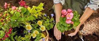 looking-for-gardening-services-big-0