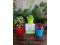 gardening-kit-small-0