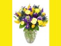 flowers-for-sale-small-10