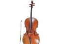 violen-for-sale-small-0